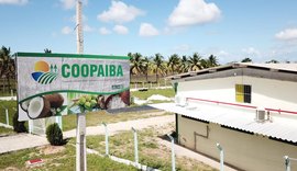 Coopaiba fará participação ampla na 1ª Feira Coop