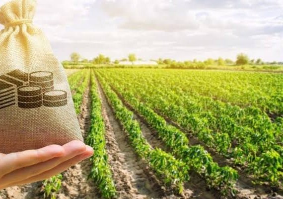 Aplicação do crédito rural chega a R$ 270 bilhões em sete meses do Plano Safra 2023/24
