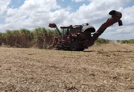 CBIO pode garantir renda extra para 5 mil fornecedores de cana em AL