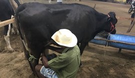 Povoado Pau Ferro promove Torneio Leiteiro em dezembro