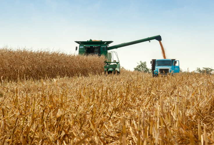 Cédulas de Produto Rural totalizam R$ 561 bilhões em fevereiro