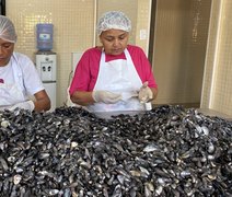Associada à Unicafes-AL, Coopmaris recebe visita de Primeira-Dama da República