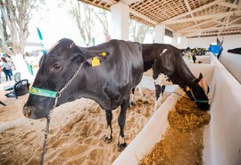TecLeite marca pioneirismo de Alagoas na Expo Bacia Leiteira