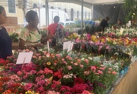 Feira de Flores de Holambra chega a Maceió com catálogo diversificado