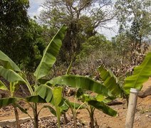 Fossa ecológica surge como alternativa na defesa do meio ambiente