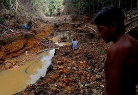 Comunidade de menina ianomâmi de 12 anos estuprada e morta corre o risco de desaparecer; entenda