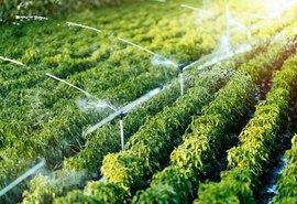 Programa facilitará acesso de agricultores a crédito fundiário