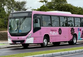 Ônibus da Mulher começa a circular em Maceió; confira os horários e terminais