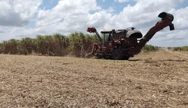 CBIO pode garantir renda extra para 5 mil fornecedores de cana em AL