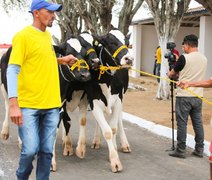 Expo Bacia Leiteira  dá largada para quadragésima edição