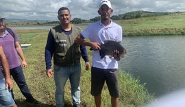 Criação de peixe vira case de sucesso no Agreste de Alagoas