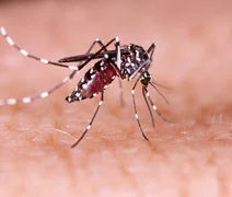 Brasil soma mais de mil mortos por dengue em 2023
