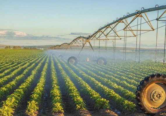Gestão da agricultura irrigada é essencial, dizem especialistas em audiência com CDR