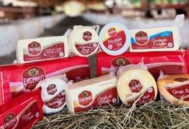 Laticínio em AL será o primeiro do Nordeste voltado para produção de queijos finos