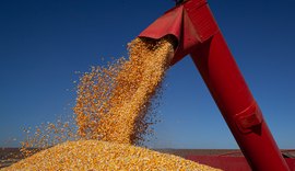 IBGE projeta safra recorde de 347,4 milhões de toneladas para 2026