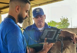 Curso de diagnóstico gestacional em bovinos está com inscrições abertas