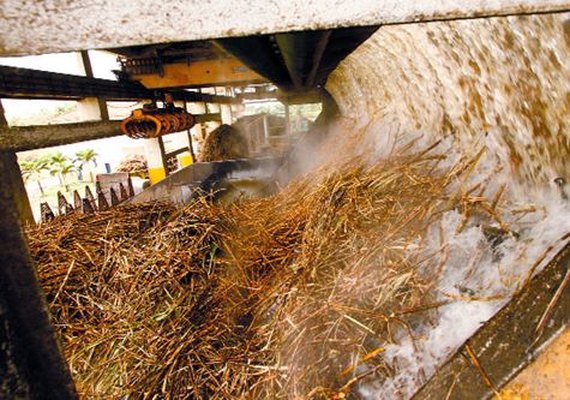 Se o “tempo” deixar Alagoas terá maior safra de cana em mais de 5 anos