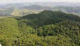 Alagoas tem o menor índice de desmatamento do Nordeste