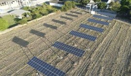 Ufal desenvolve projeto que combina energia solar para impulsionar cultivo de cana