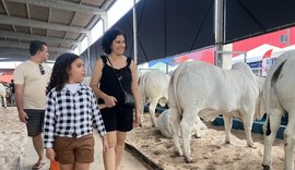 Mais de 11 mil pessoas já visitaram Expoagro 2025 e aprovaram experiências rurais e shows no parque