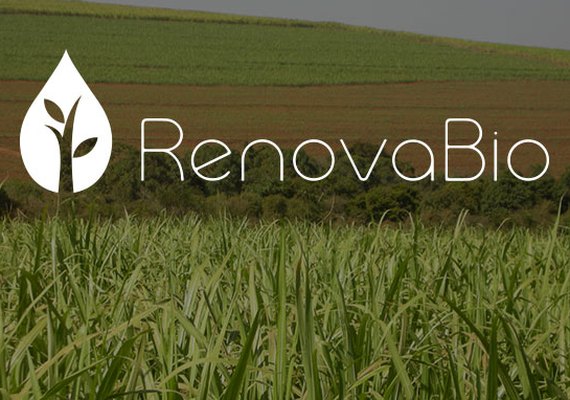 Distribuidoras defendem suspensão do RenovaBio