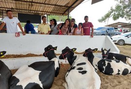 38ª Expo Bacia Leiteira será lançada nesta sexta (20) em Batalha