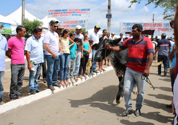 Expo Bacia vai fortalecer setor leiteiro do Nordeste