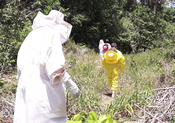 Parceria entre usina e apicultores une produção e preservação ambiental na Barra de São Miguel