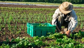 Mudanças climáticas: o desafio da resiliência no cooperativismo agro