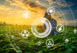 Ministério da Agricultura inicia projeto AgroNordeste Digital; saiba mais
