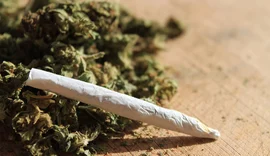 Quase 8 toneladas de maconha são apreendidas pela PRF nesta quinta-feira (26)