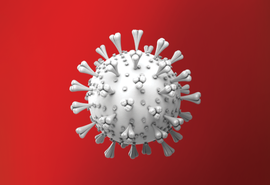 Brasil registra 529 óbitos por coronavírus