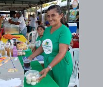 Agricultores familiares ampliam renda em até 30% com Programa de Aquisição