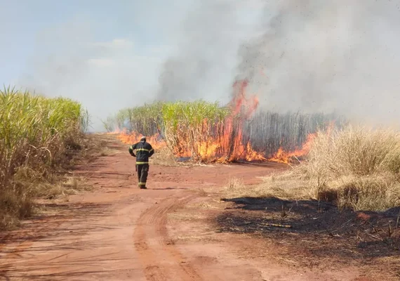 Usina Santa Clotilde promove evento sobre prevenção e combate a incêndios criminosos em canaviais