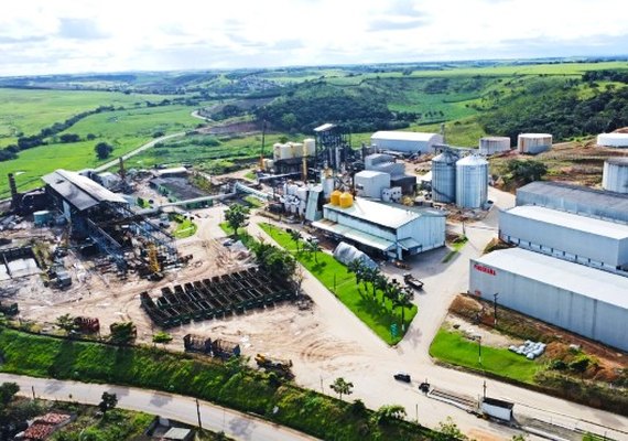 Pindorama programa início da safra 26/27 para agosto