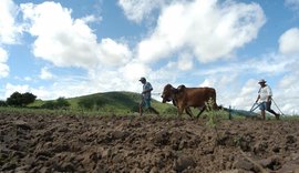 Seguro protege agricultores contra dados da seca