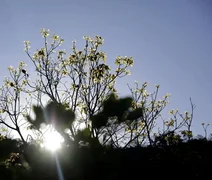 Começa hoje a Semana Nacional de Ciência e Tecnologia