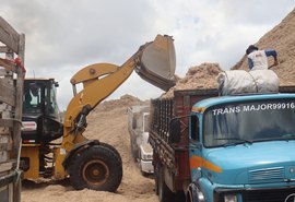 Bagaço da cana: a segunda maior fonte de energia de Alagoas