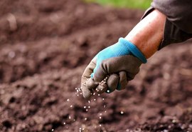 Plano nacional de fertilizantes será lançado nesta sexta (11)