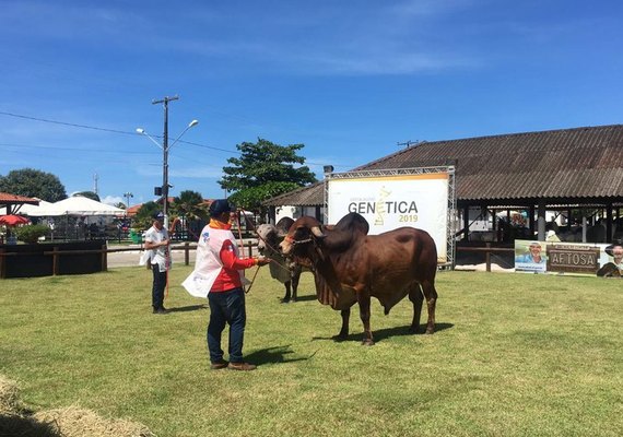 Expoalagoas Genética Itinerante traz programação focada no pilar genético