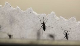 Com medo de coronavírus, Brasil tem alta de 71% em casos de dengue