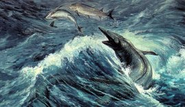 Cientistas descobrem fósseis magnéticos de criatura antiga com GPS biológico