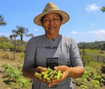 Cooperativas de crédito aumentam rentabilidade no campo