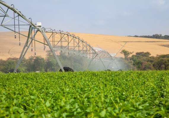Projeto prevê desconto na conta de luz de agricultores familiares
