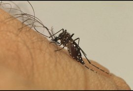 AL tem onze vezes mais casos de dengue do que Covid-19