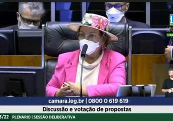 Alagoana “substitui” Arthur Lira e aprova medidas em defesa da mulher na Câmara dos Deputados