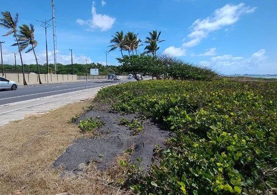 Prefeitura de Maceió descarta resto de asfalto em área de restinga na Orla do Sobral