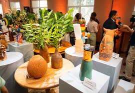 Artesãos alagoanos terão 120 obras representando o Brasil na Paris Design Week 2025