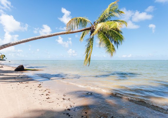 Alagoas brilha em prêmio nacional e disputa topo do turismo