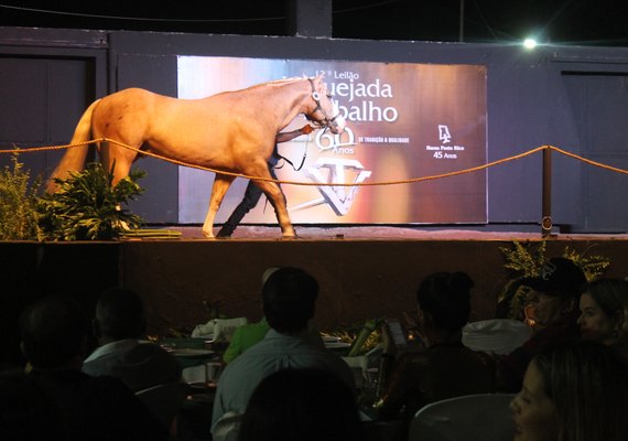 13º Vaquejada  é um dos leilões de produção mais aguardados do NE